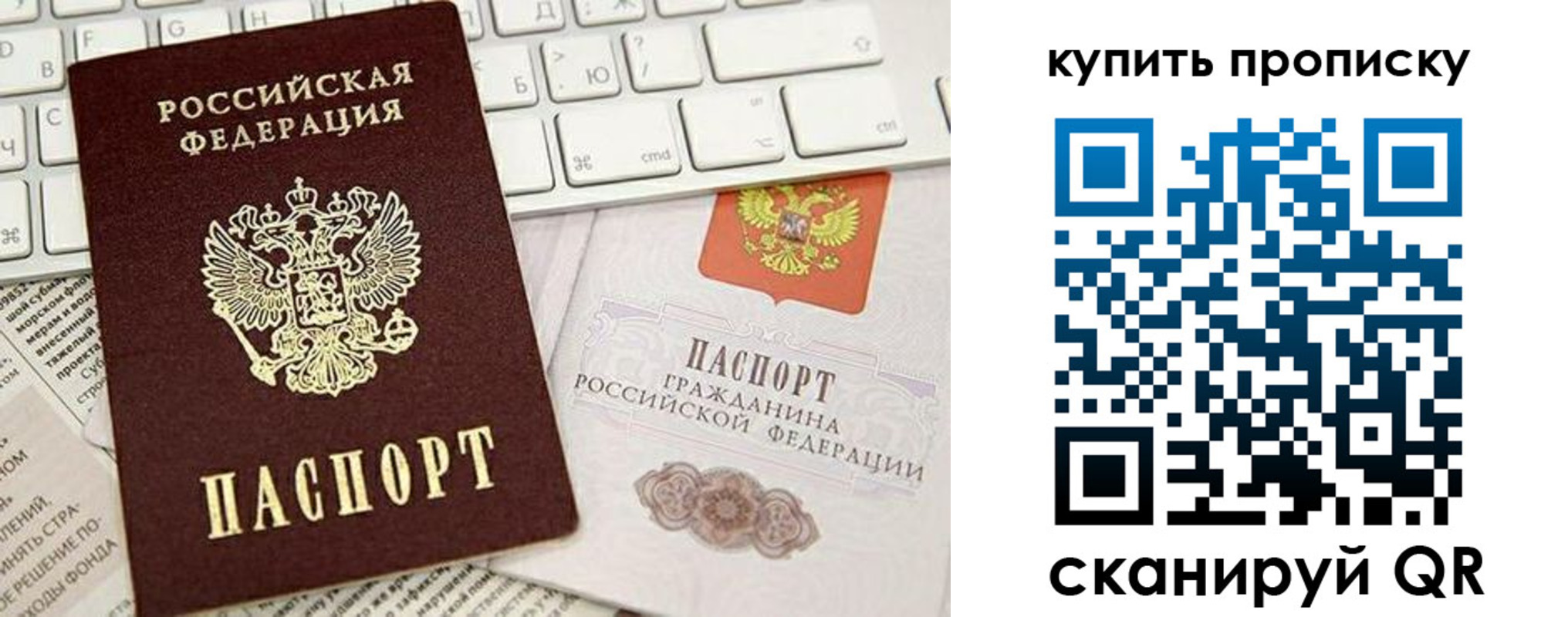 прописка гарантия в Павловске